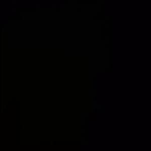 Meet your Posher, Bonnie